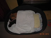 tucker13.webp