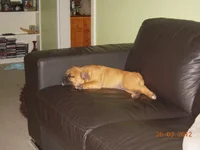 tucker14.webp