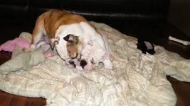 DSCF4533.webp