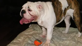 DSCF4498.webp