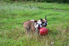 DSC_0348.webp