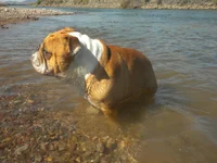 DSCN4533.webp DSCN4533.webp