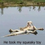 1379856515775-squeaky_toy.jpg