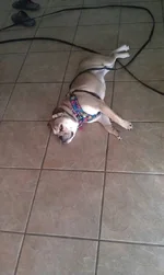 uploadfromtaptalk1384052187282.webp
