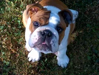IMG-20130722-00345.webp