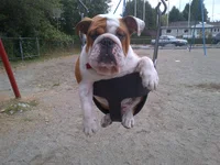 IMG-20130812-00531.webp
