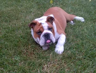 IMG-20130802-00411.webp