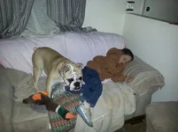 20121212_205342.webp