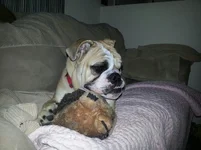 20121217_195714.webp