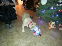 20121222_185251.webp