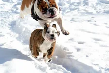 21714_10151446999369726_493236449_n.webp