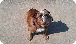 maddie.webp maddie.webp