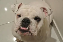 photo.webp