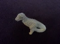 20131110_173925.webp