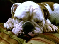 Stu 2 years.webp
