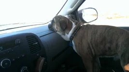 IMAG0359.webp