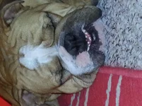 20130816_155852.webp