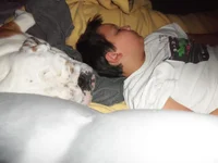 100_1020.webp