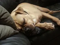 20130918_212520.webp