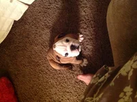image.webp