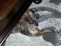 20131107_183933.webp