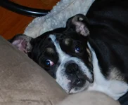 DSC_0001.webp