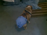 03302010023.webp