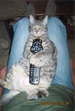 catremote.jpg