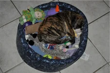 B1bed0003.webp