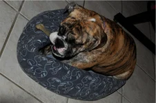 B2bed0065.webp