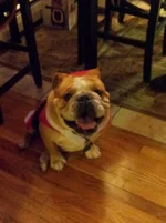 20131224_210642.webp