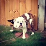 ellie3.webp