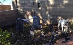 SanchoGraveyard.webp