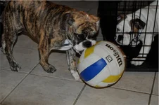 play_0078.webp