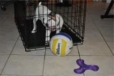 play_0079.webp