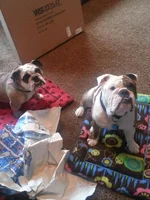 arnold and Bertha xmas 2013.webp