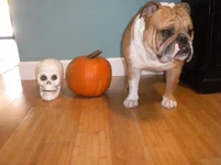 DSCN4545.webp