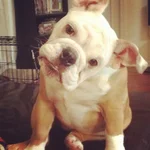 186instagram.webp