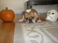 DSCN4546.webp