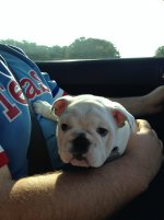 IMG_1936.jpg IMG_1936.jpg