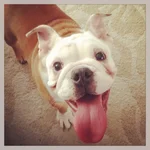 217instagram.webp