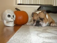 DSCN4548.webp
