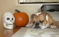 DSCN4549.webp