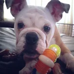 159instagram.webp