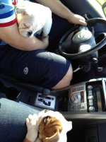 IMG_1938.jpg IMG_1938.jpg