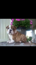 ImageUploadedByTapatalk1388294235.625010.webp
