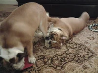 20130504_204710.webp