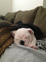 IMG_2059.jpg IMG_2059.jpg