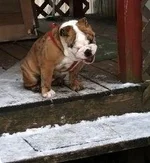 febi2013 018.webp