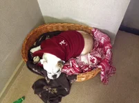 photo (3).webp photo (3).webp